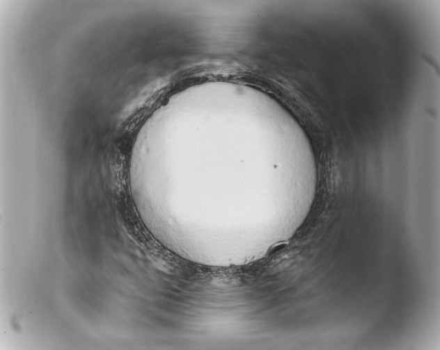 X0000103931399200810031248