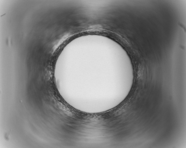 X0000103931400200810031248
