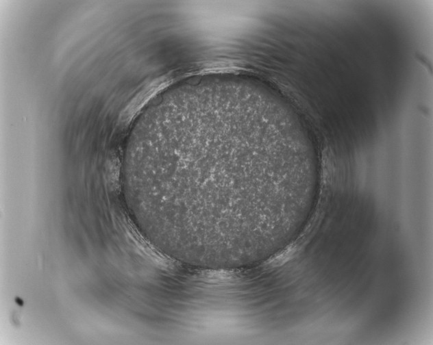 X0000103931401200810031248