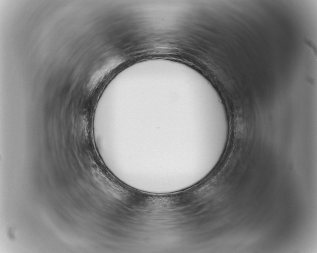 X0000103931402200810031248