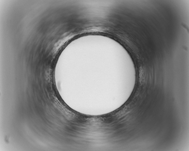 X0000103931404200810031248