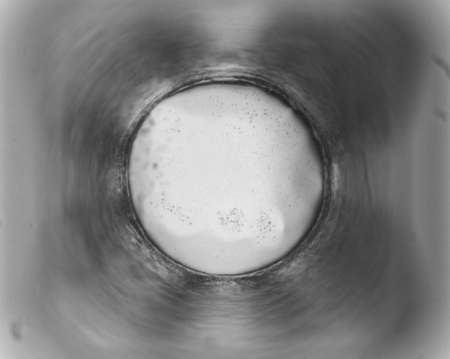 X0000103931405200810031248
