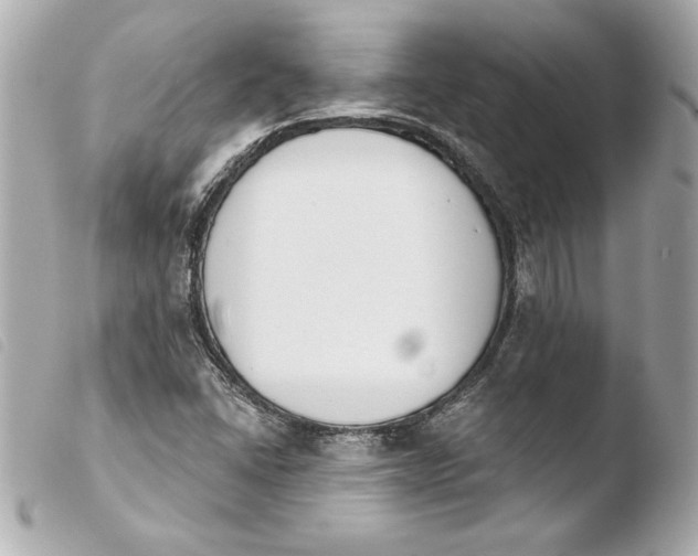 X0000103931406200810031248