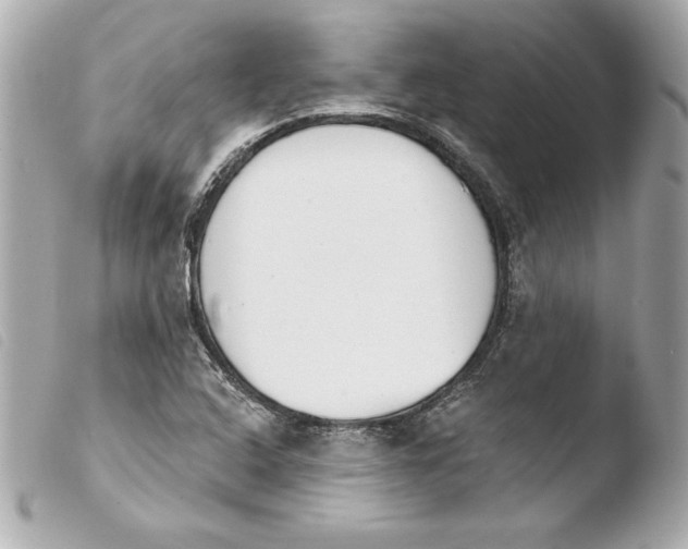 X0000103931408200810031248