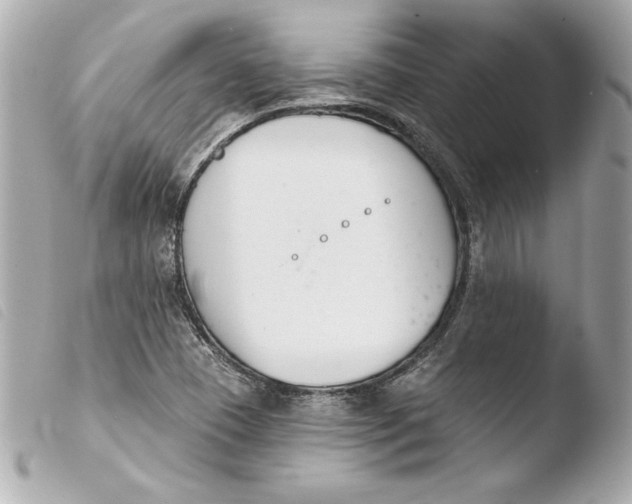 X0000103931409200810031248