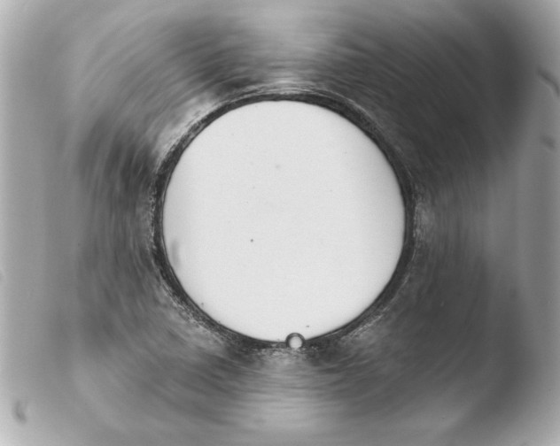 X0000103931410200810031248