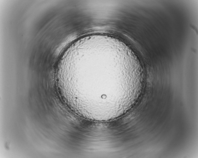 X0000103931411200810031248