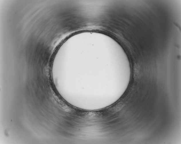 X0000103931412200810031248
