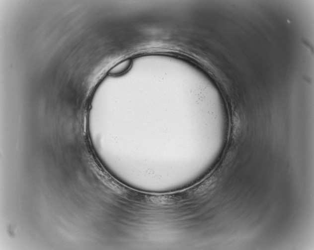 X0000103931413200810031248