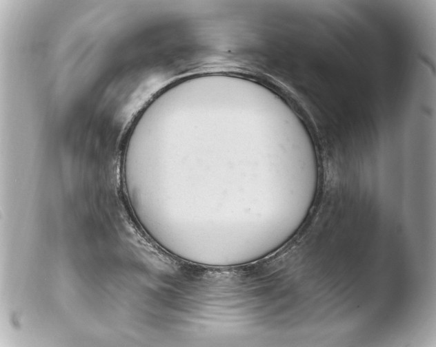 X0000103931415200810031248