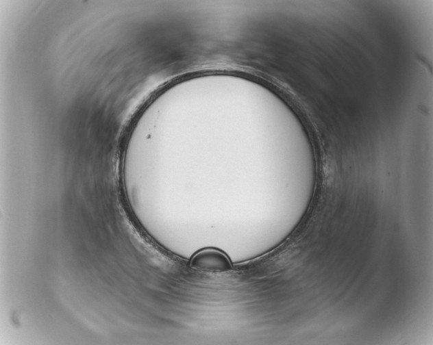 X0000103931416200810031248