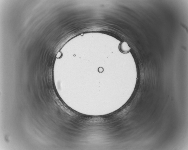 X0000103931417200810031248
