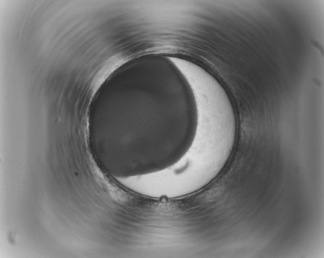 X0000103931418200810031248