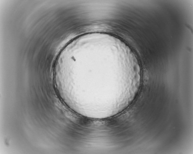 X0000103931419200810031248
