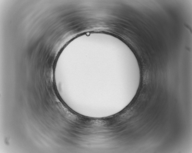 X0000103931420200810031248