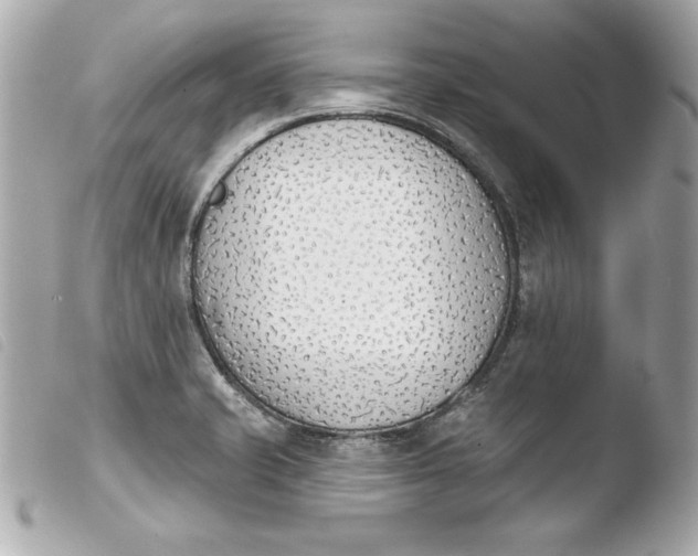 X0000103931421200810031248