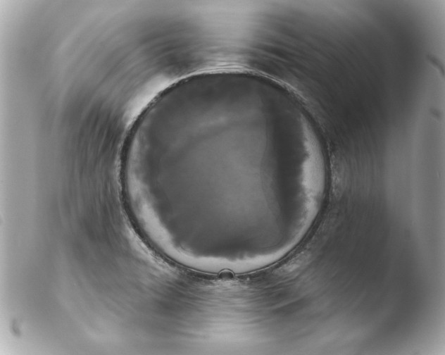 X0000103931422200810031248