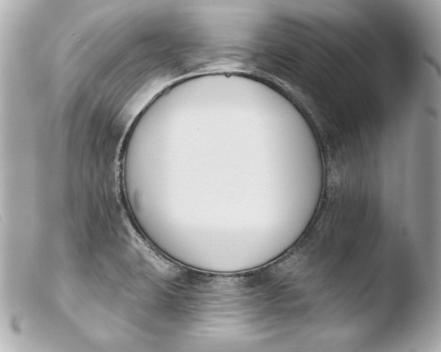 X0000103931423200810031248