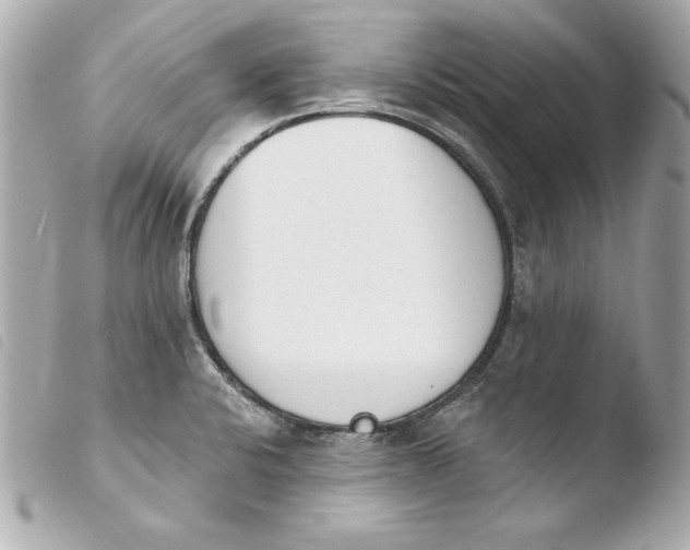 X0000103931424200810031248