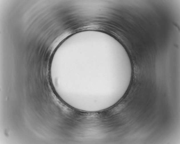 X0000103931426200810031248