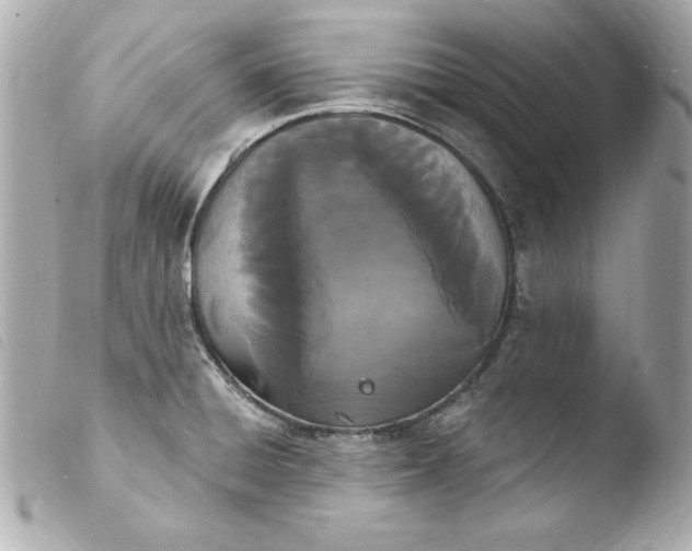 X0000103931428200810031248