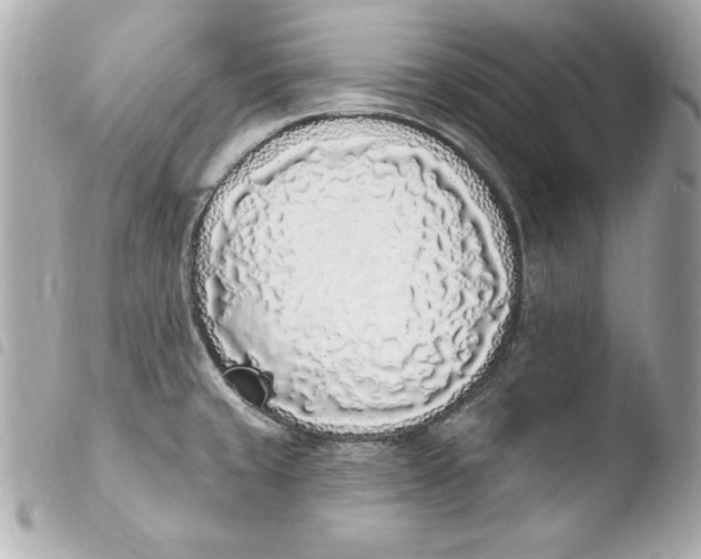 X0000103931429200810031248