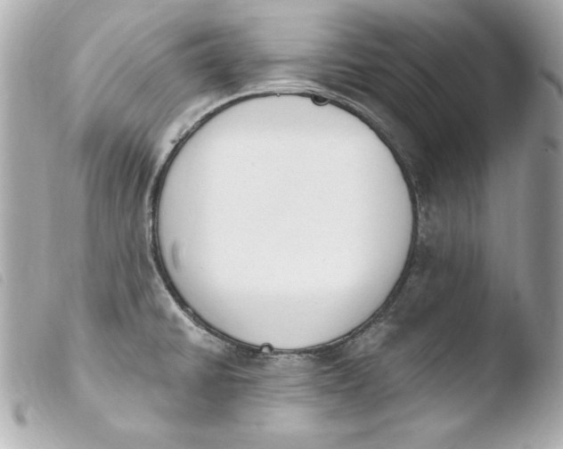 X0000103931430200810031248