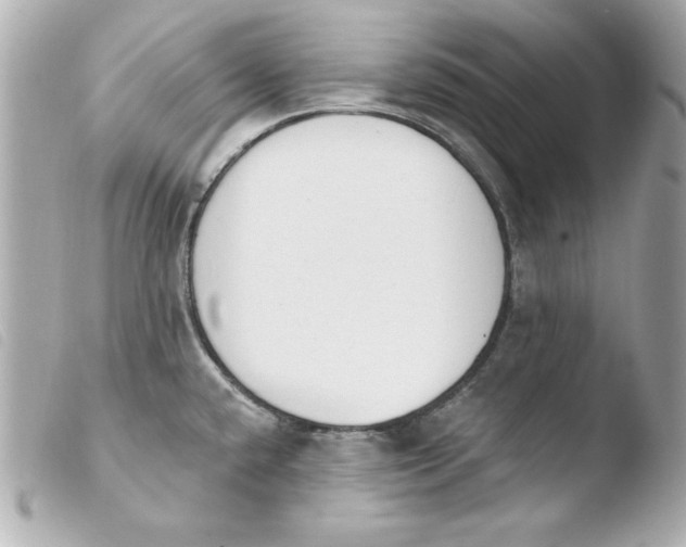 X0000103931432200810031248