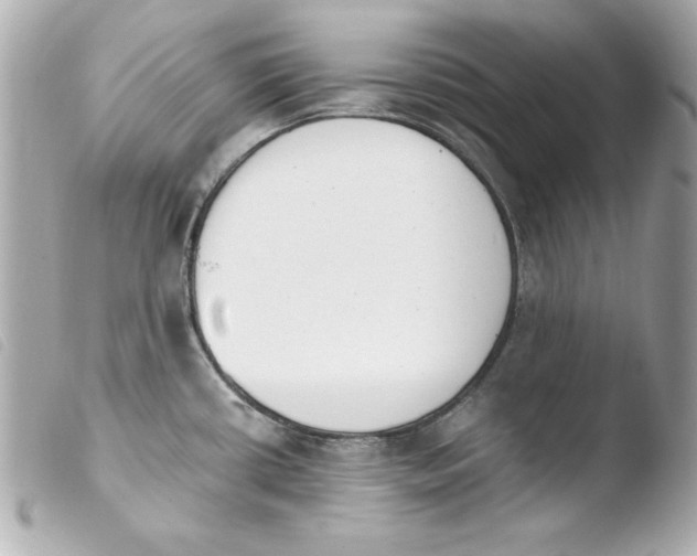 X0000103931434200810031248