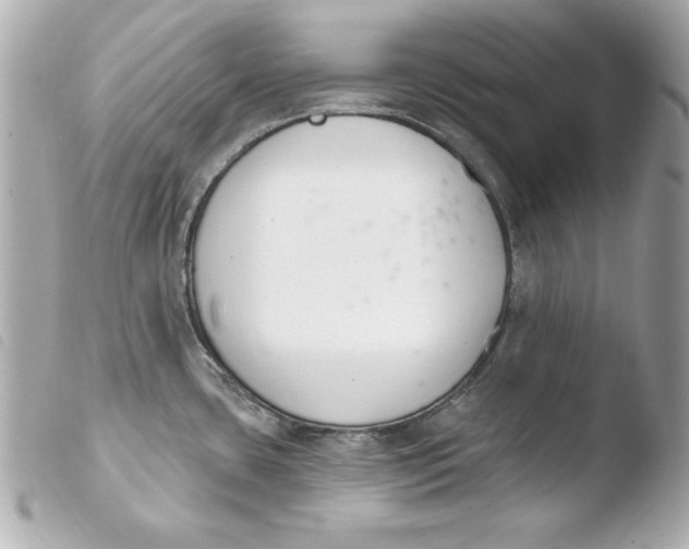 X0000103931435200810031248