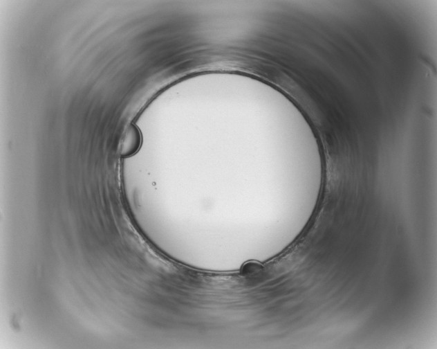 X0000103931436200810031248