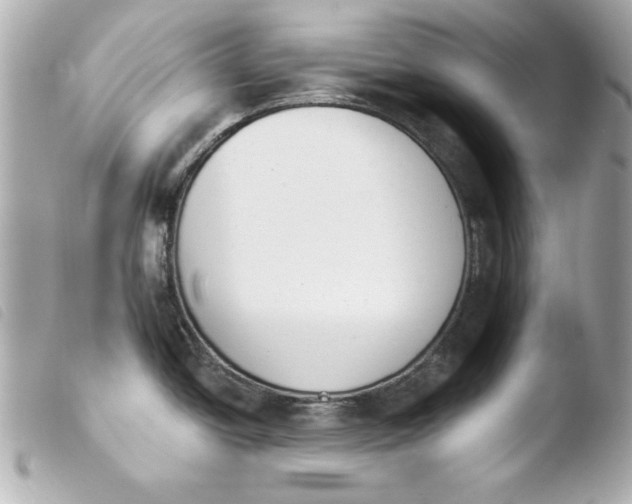 X0000103931438200810031248