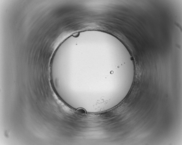 X0000103931439200810031248