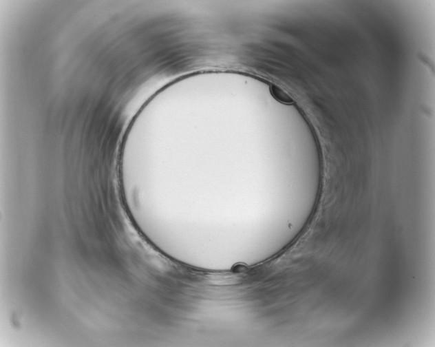 X0000103931440200810031248