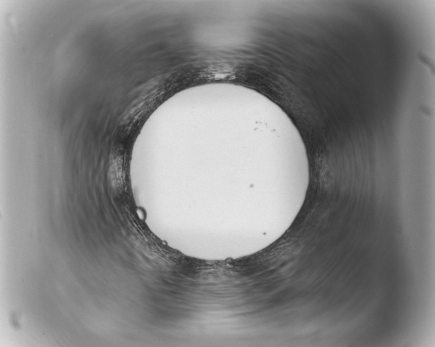 X0000103931442200810031248