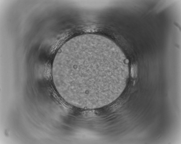 X0000103931444200810031248