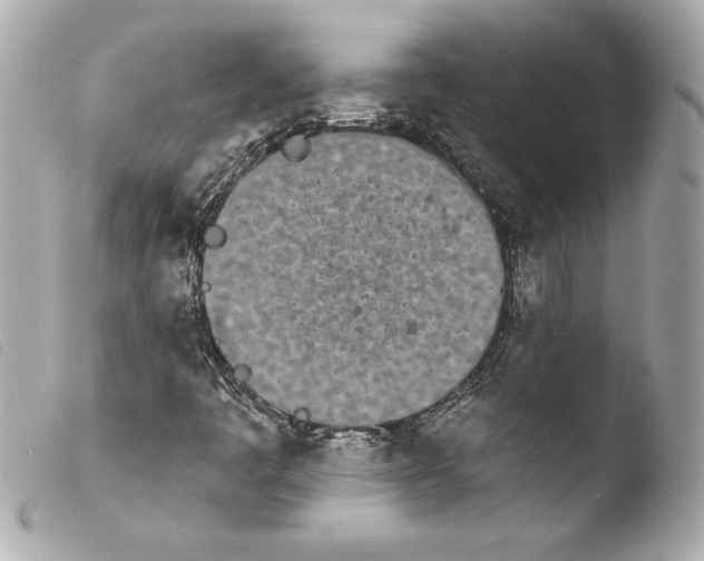 X0000103931445200810031248