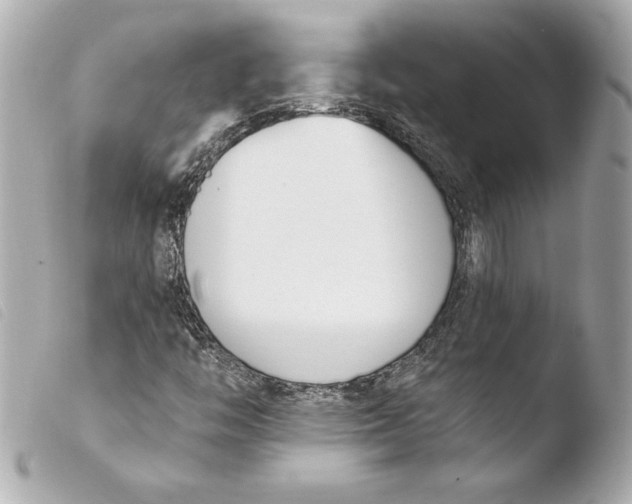 X0000103931446200810031248