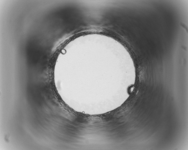 X0000103931448200810031248