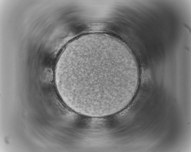X0000103931449200810031248