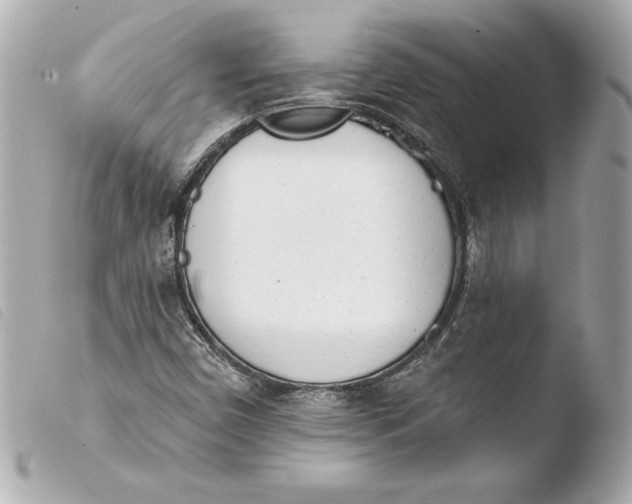 X0000103931450200810031248