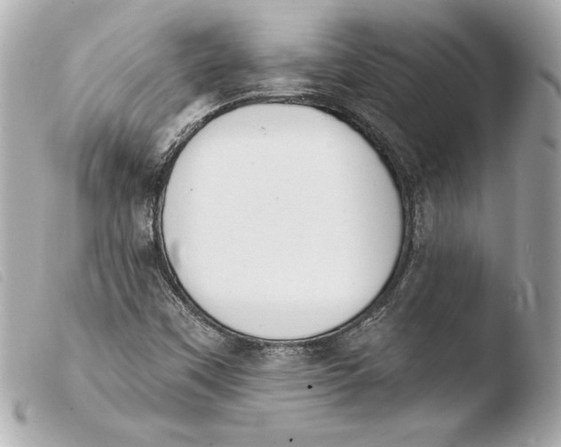 X0000103931451200810031248