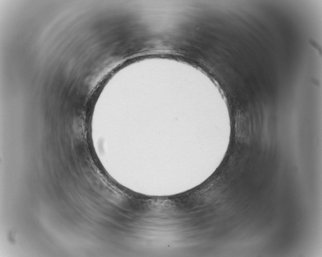 X0000103931452200810031248