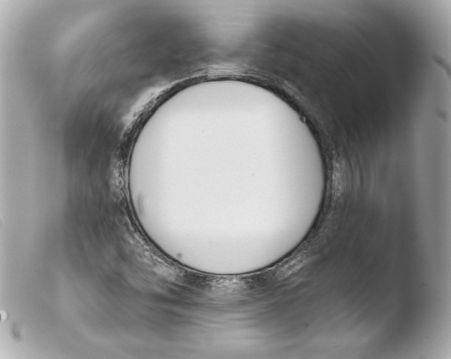 X0000103931454200810031247