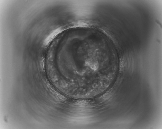 X0000103931455200810031247