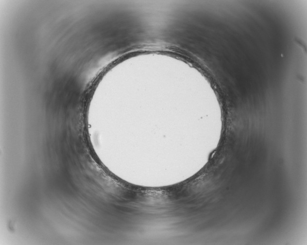 X0000103931456200810031247