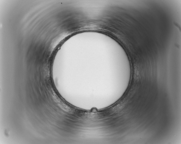 X0000103931458200810031247