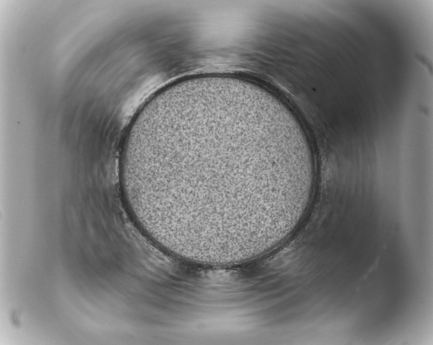 X0000103931459200810031247
