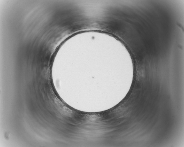 X0000103931460200810031247