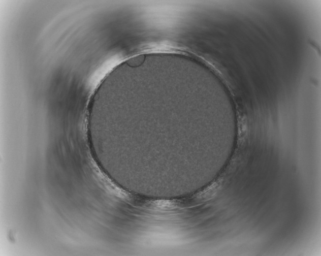 X0000103931463200810031247